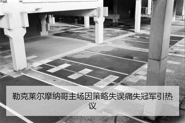 lei-ke-lai-er-mo-na-ge-zhu-chang-yin-ce-lve-shi-wu-tong-shi-guan-jun-yin-re-yi-2-879.jpg
